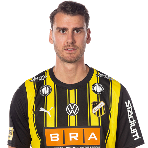Johan Hammar Icon