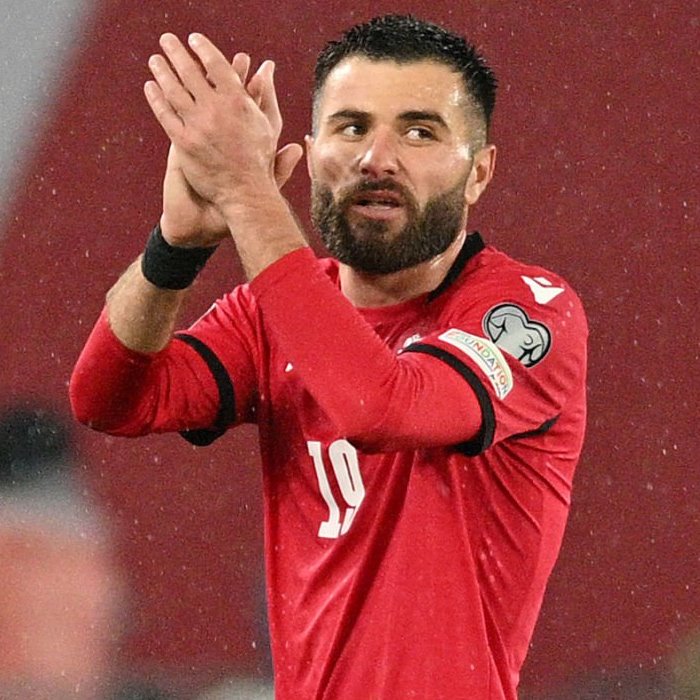 Levan Shengelia Icon