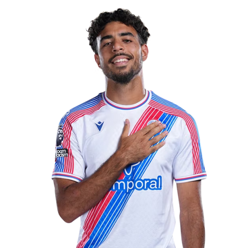 Chadi Riad Icon