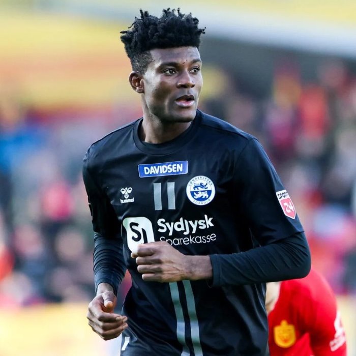 Ivan Djantou Icon
