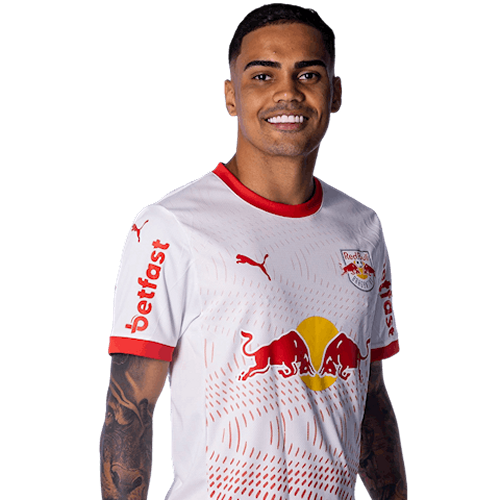 Vinicinho Icon