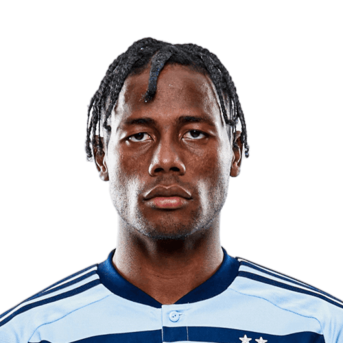 Dany Valencia Icon