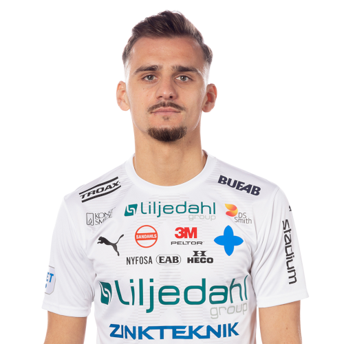 Ajdin Zeljkovic Icon