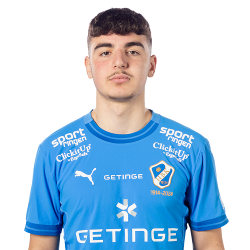 Bleon Kurtulus Icon