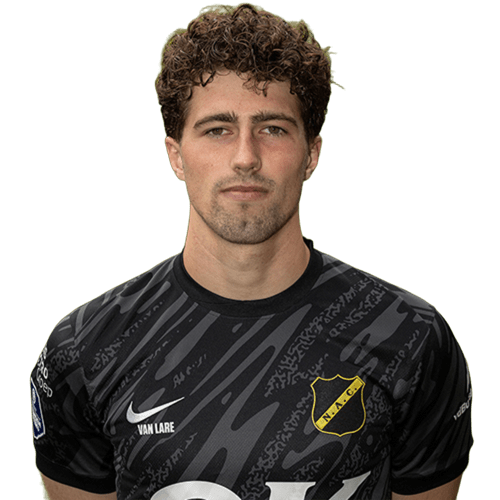 Aron van Lare Icon