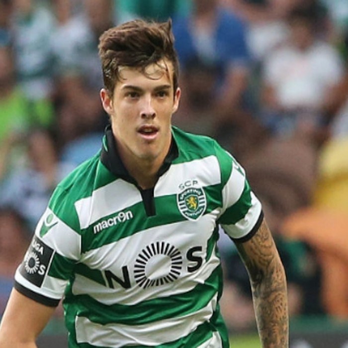 Bruno Paulista Icon