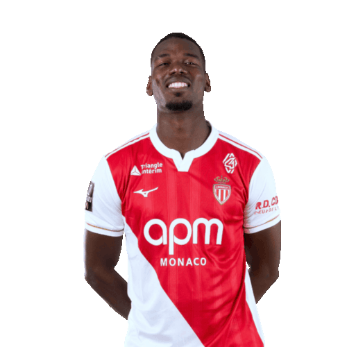 Paul Pogba Icon