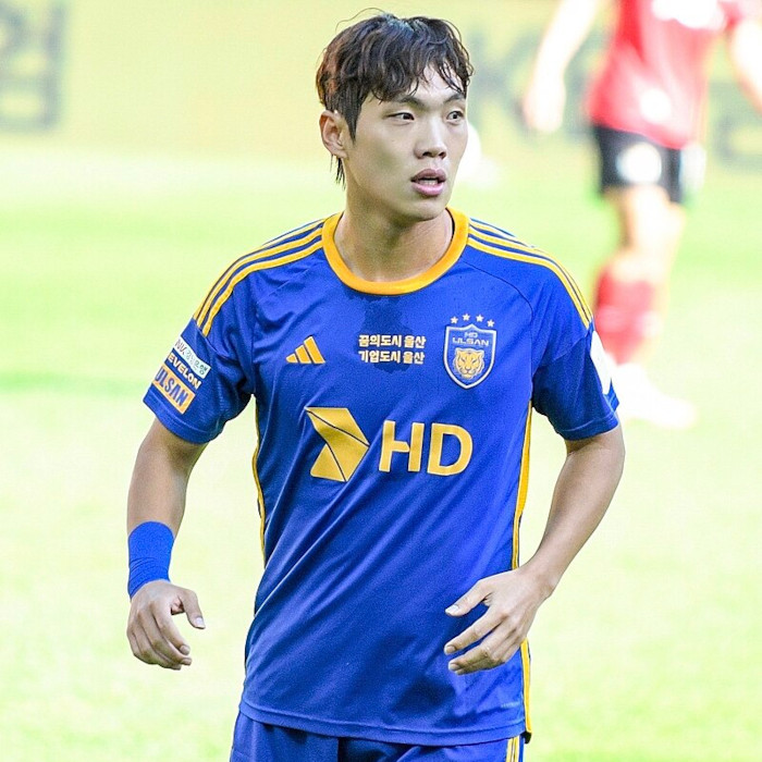 Myung-Jae Lee Icon