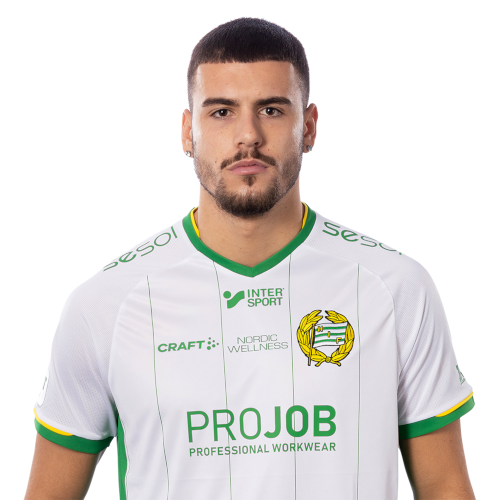 Edvin Kurtulus Icon