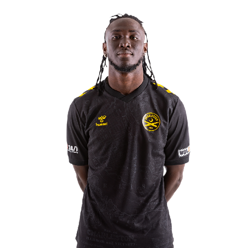 Houssou Landry Icon