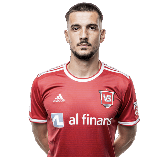 Vladimir Arsic Icon