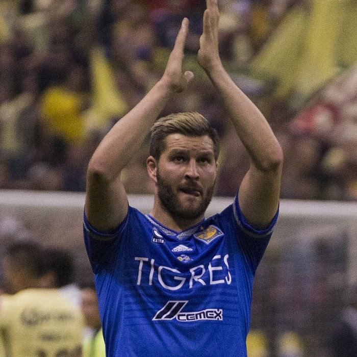 Andre-Pierre Gignac Icon