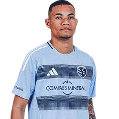 Diego Borges Icon