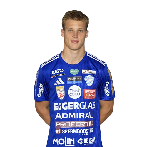 Dominic Vincze Icon