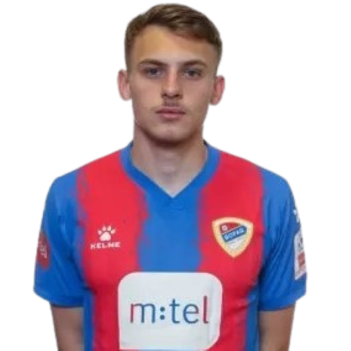 Enver Kulašin Icon