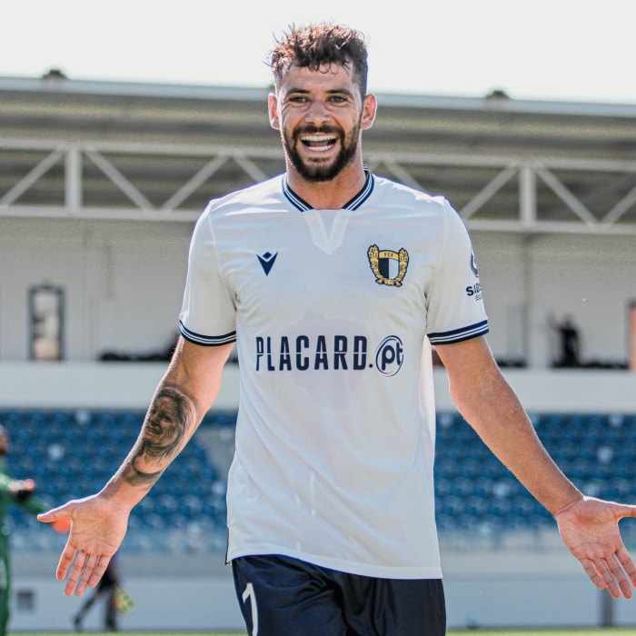 Ivo Rodrigues Icon