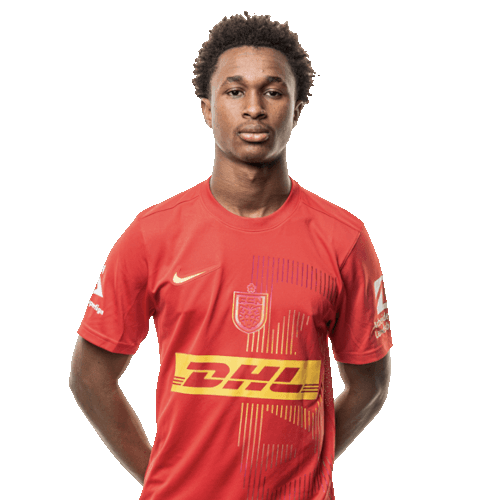 Diallo Sanoussi Icon