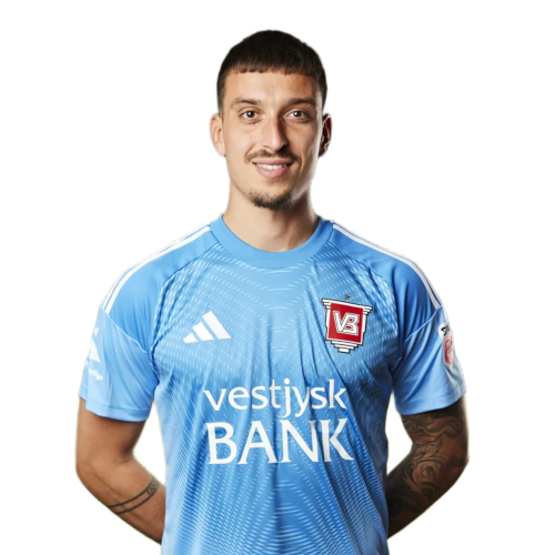 Igor Vekić Icon