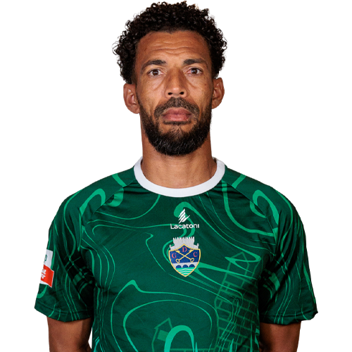 Vozinha Icon
