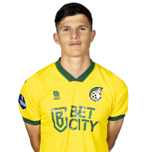 Tristan Schenkhuizen Icon