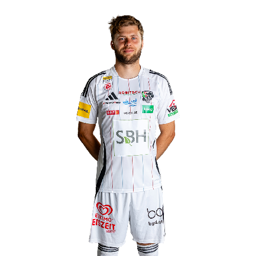 Dominik Baumgartner Icon