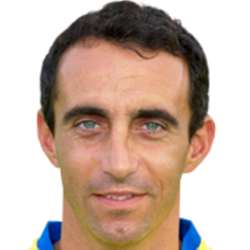 Dario Dainelli Icon