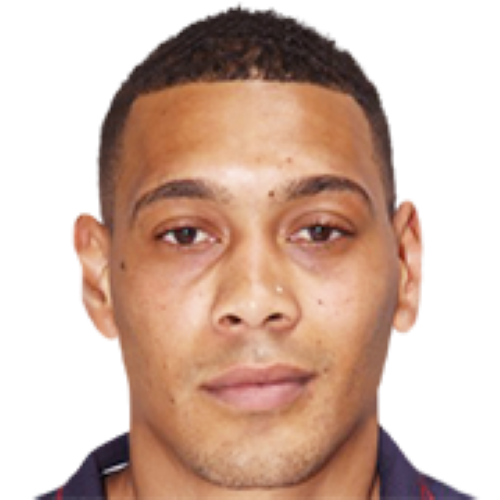 Guillaume Hoarau Icon