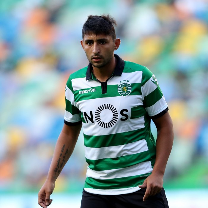 Alan Ruiz Icon
