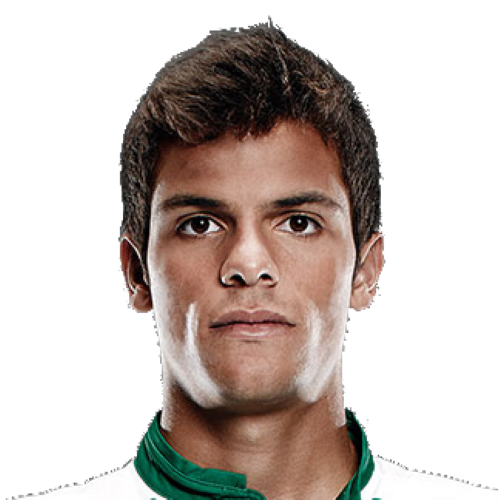 Andre Geraldes Icon