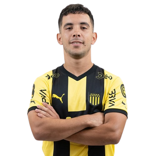 Leonardo Fernández Icon