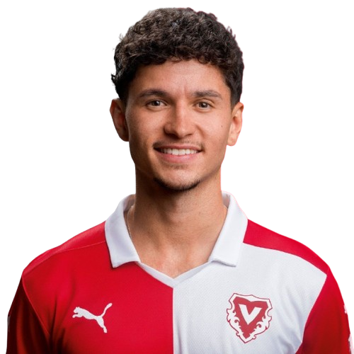 Stephan Seiler Icon