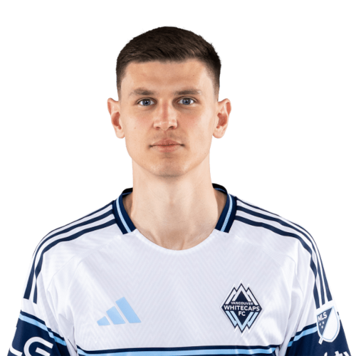 Ranko Veselinović Icon