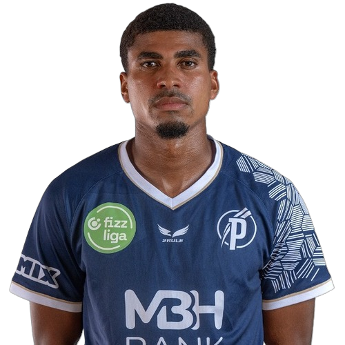 Laros Duarte Icon