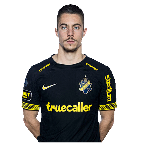 Dino Beširović Icon