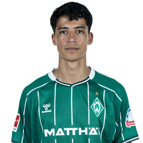 Julián Malatini Icon