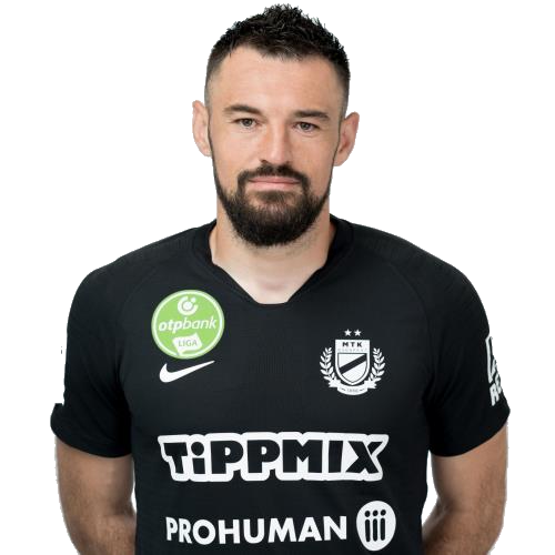 Milan Mijatović Icon