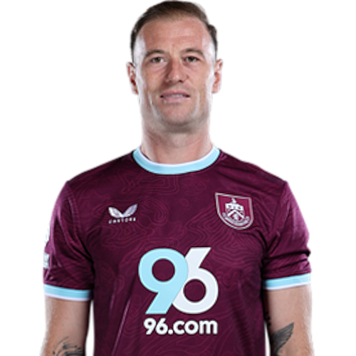 Ashley Barnes Icon
