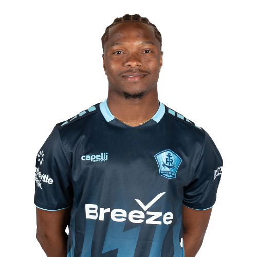 Hamady Diop Icon