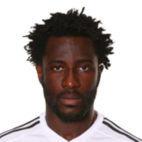 Wilfried Bony Icon