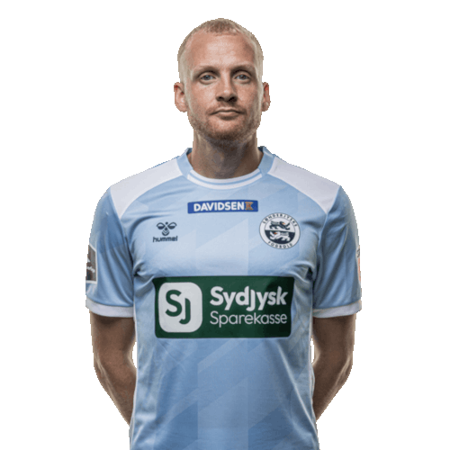 Simon Sylvest Wæver Icon