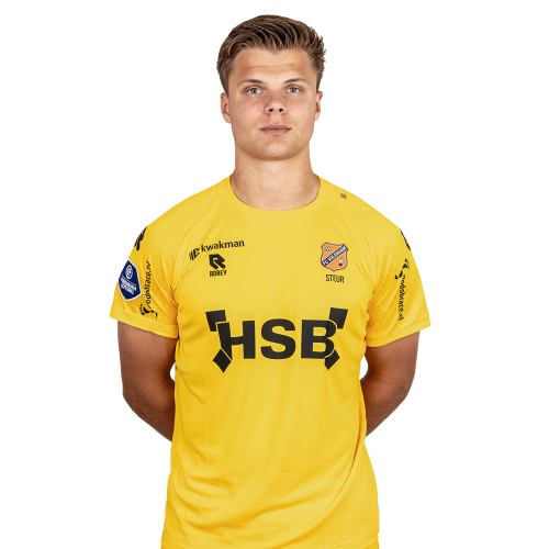 Daan Steur Icon