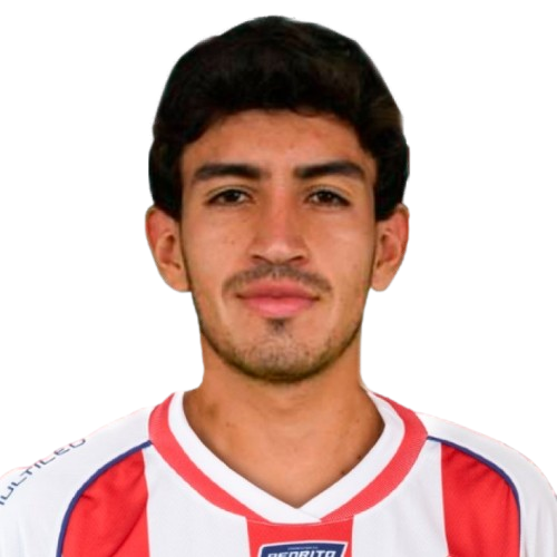 Nicolás Palavecino Icon