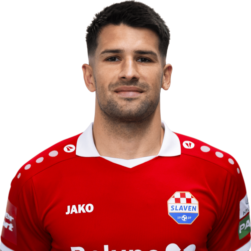 Osman Hadžikić Icon