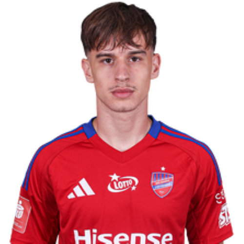 Bogdan Mircetic Icon