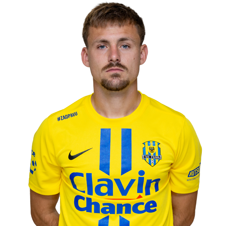Matěj Helešic Icon