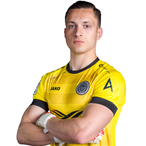 Nils Puriņš Icon