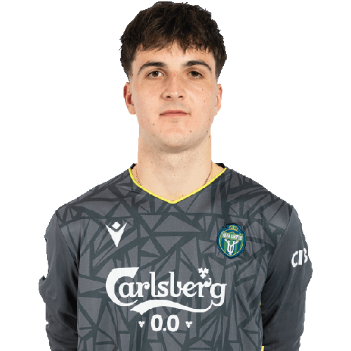 Ivan Pavela Icon