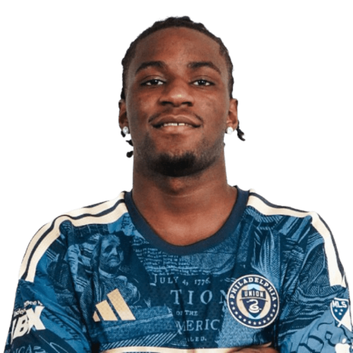 Philippe Ndinga Ossibadjouo Icon