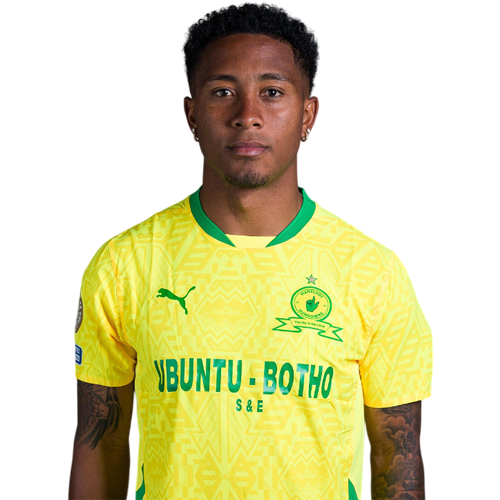 Lucas Ribeiro Icon
