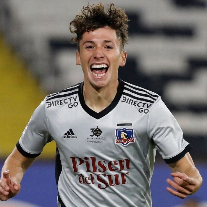 Luciano Arriagada Icon